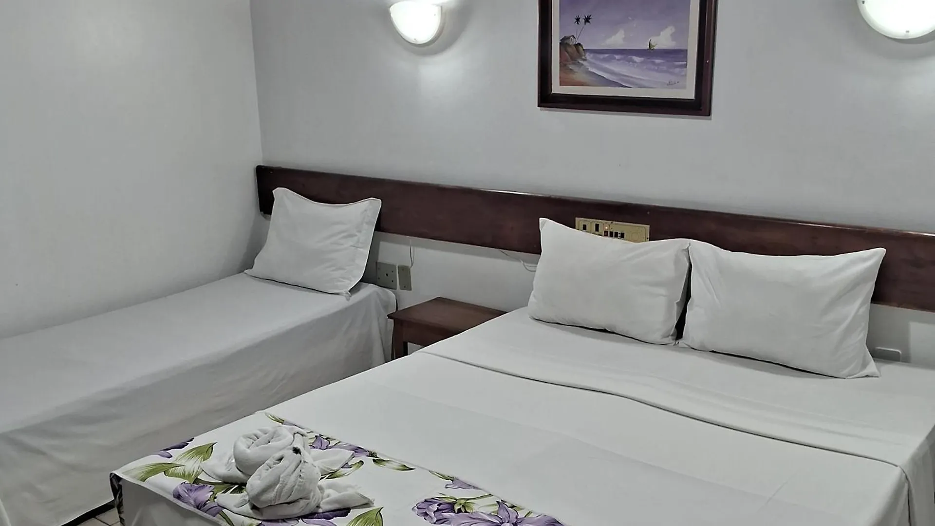 Hotel Costa Verde بورتو سيغورو البرازيل